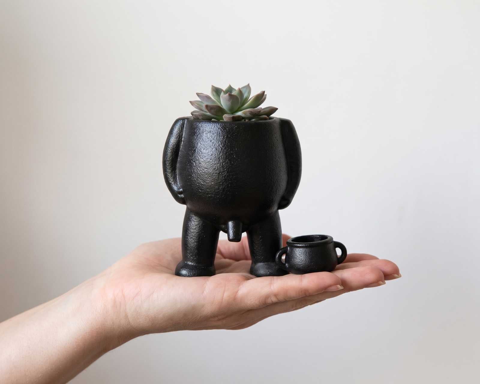 Der Unverschämte – Blumentopf mit Beinen